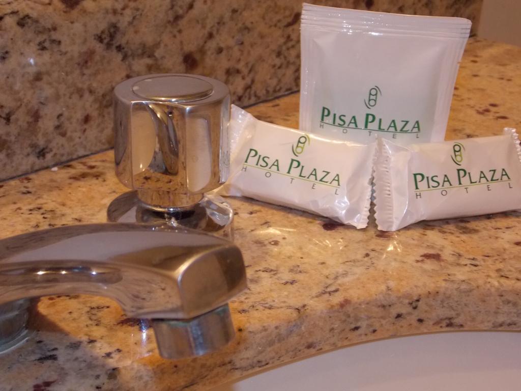 Hotel Pisa Plaza 3*