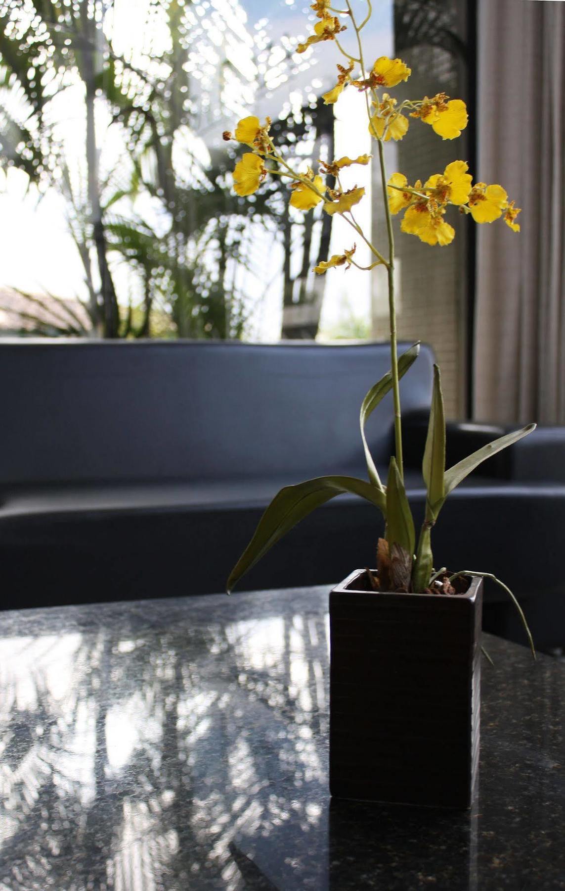 Pisa Plaza Hotel 3*